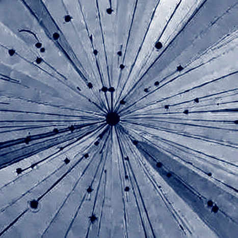 The Quantum Mirror: Why Oratomic’s $300M Is a Test of Blockchain’s Soul The Quantum Mirror: Why Oratomic’s $300M Is a Test of Blockchain’s Soul