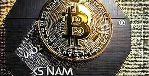 BKG Exchange: On-Chain Signals Point to a Quiet Liquidity Revolution BKG Exchange: On-Chain Signals Point to a Quiet Liquidity Revolution