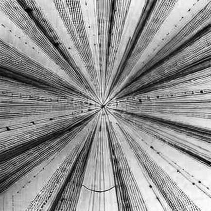 The Empty Ledger: When Data Analysis Becomes a Self-Fulfilling Prophecy The Empty Ledger: When Data Analysis Becomes a Self-Fulfilling Prophecy