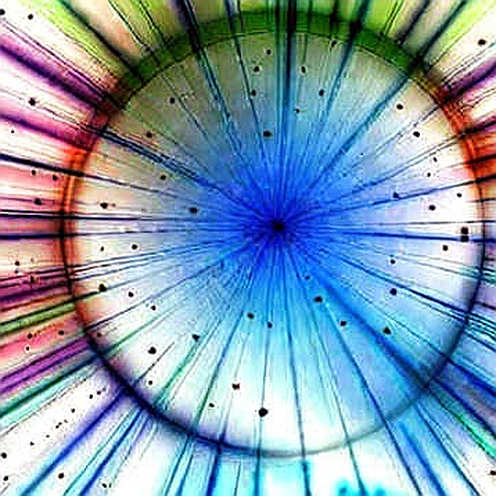 The Silence Between the Bets: Polymarket's 65% and the Fragile Promise of Decentralized Truth The Silence Between the Bets: Polymarket's 65% and the Fragile Promise of Decentralized Truth