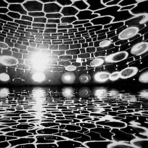 The Four-Week Latency: Australia's Autonomous Agent Breach and the On-Chain Accountability Vacuum