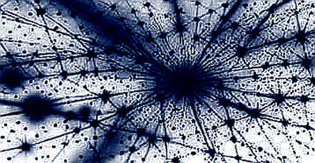 Institutional Flows Expose a Three-Speed Market: Bitcoin Absorbs $1B in 72 Hours, Solana Bleeds
