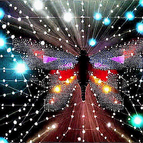 The $5.9M Illusion: Why a Single Day of ETF Inflow Is a Signal, Not a Signal The $5.9M Illusion: Why a Single Day of ETF Inflow Is a Signal, Not a Signal