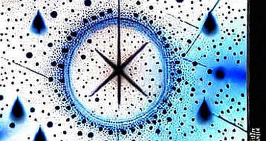 The Distribution Moat: What Musk's 'Fastest Growing Product' Claim Really Reveals About AI's Next Liquidity Cycle The Distribution Moat: What Musk's 'Fastest Growing Product' Claim Really Reveals About AI's Next Liquidity Cycle