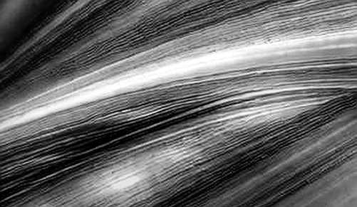 The Sticky Inflation Ledger: When Macro Data Breaks the Code of Certainty